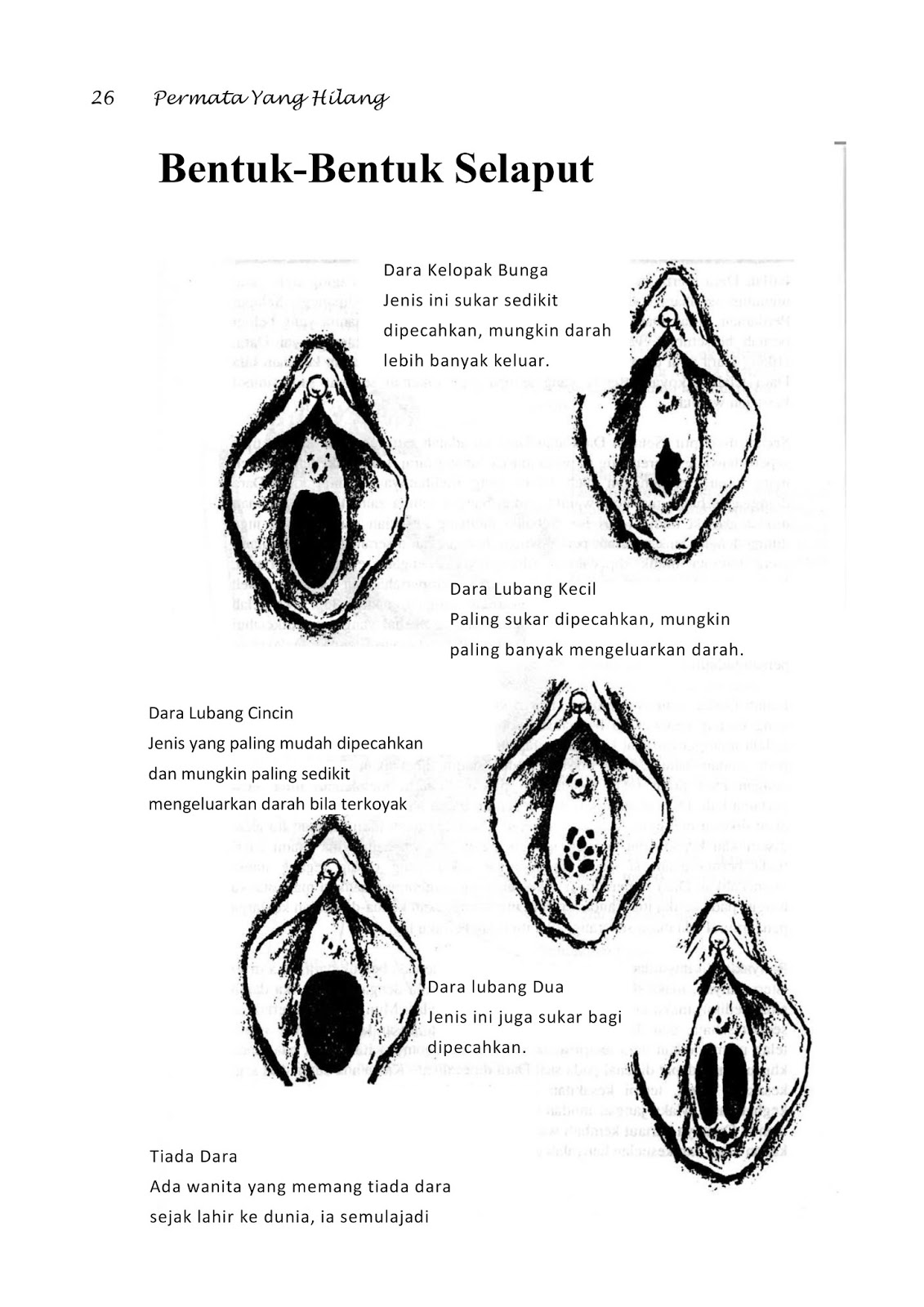 Permata Yang Hilang Full Version Pdf Permata Yang Hilang Full Version Pdf